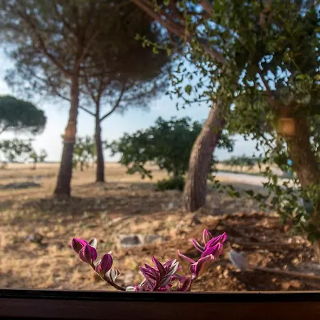 펜션 Once Upon A Time In Masseria Sitamara Borgo Piave