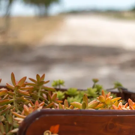 Once Upon A Time In Masseria Sitamara